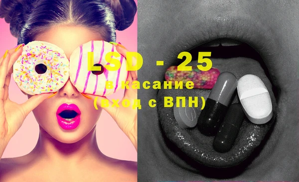 ПСИЛОЦИБИНОВЫЕ ГРИБЫ Заводоуковск